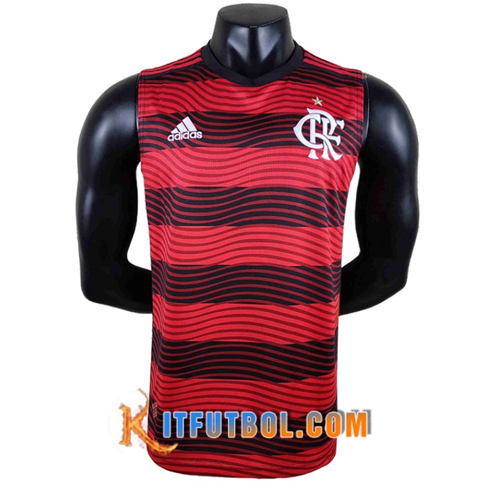 Camisetas De Futbol Flamengo Gilet 2022/2023