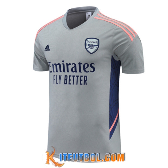 Camiseta Entrenamiento Arsenal Gris 2022/2023