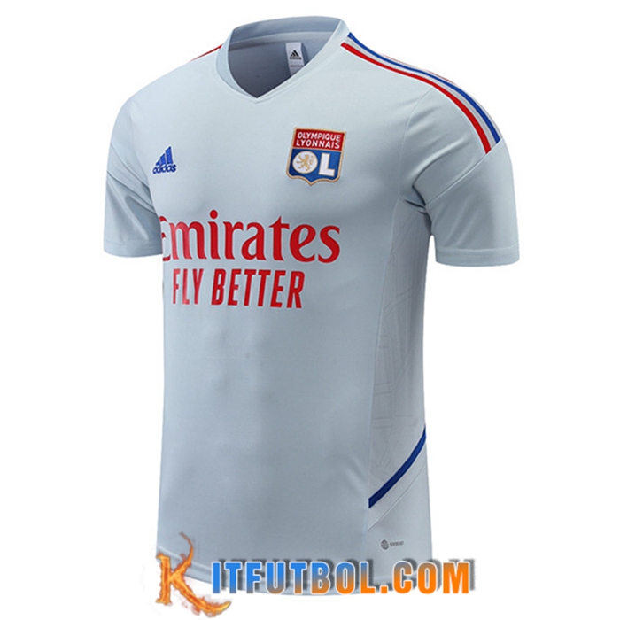 Camiseta Entrenamiento Lyon Gris 2022/2023