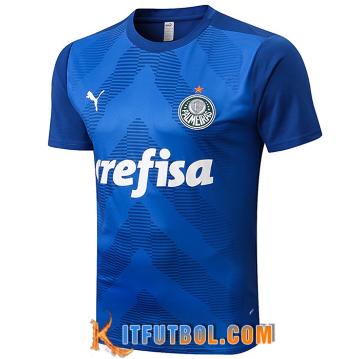 Camiseta Entrenamiento Palmeiras Azul 2022/2023