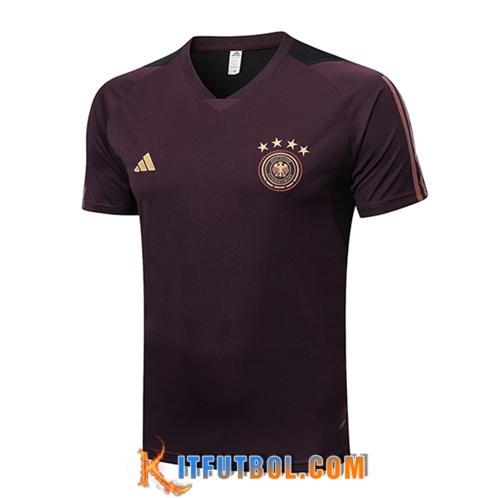 Camiseta Entrenamiento Alemania Marrón 2023/2023